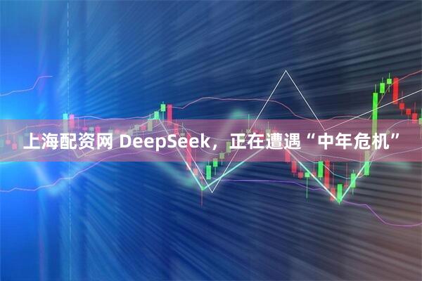 上海配资网 DeepSeek，正在遭遇“中年危机”